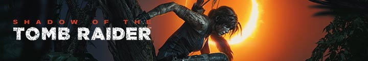 Shadow of the Tomb Raider roda nessa placa de vídeo?